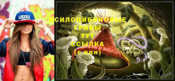 спайс Балабаново